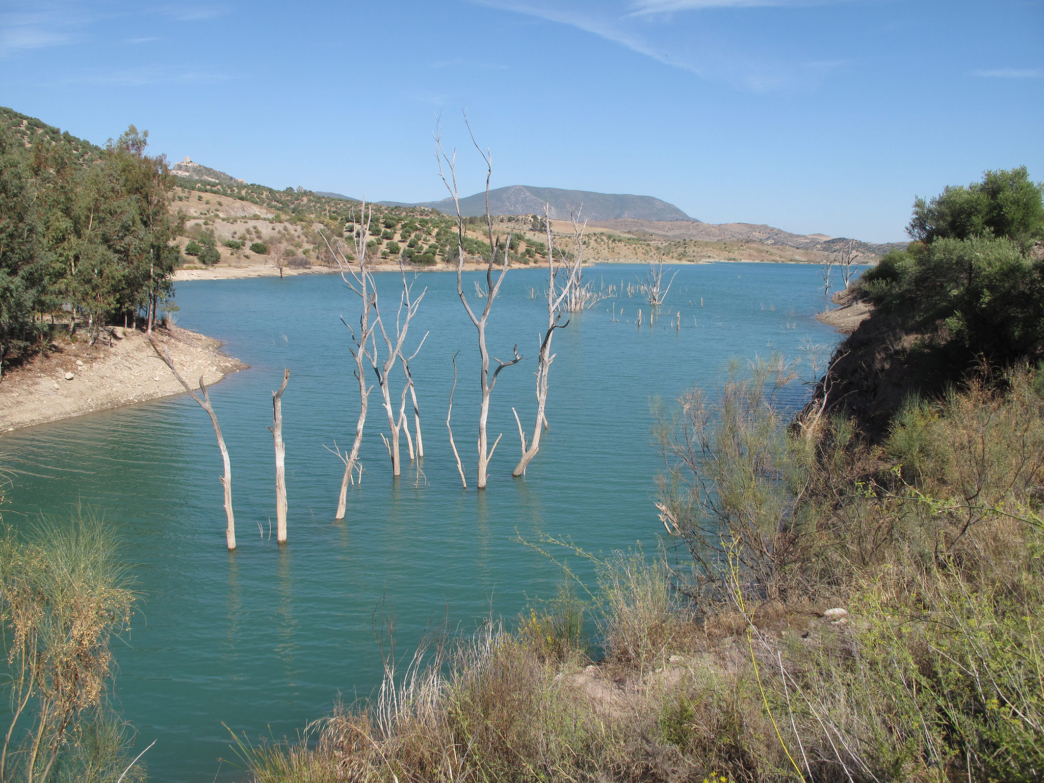 Zahara de la Sierra, Olvera